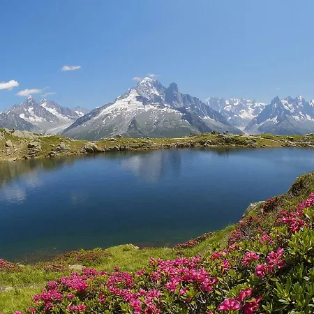 아파트 Beautiful Apartment Decorated With Great Care In A Mountain Style